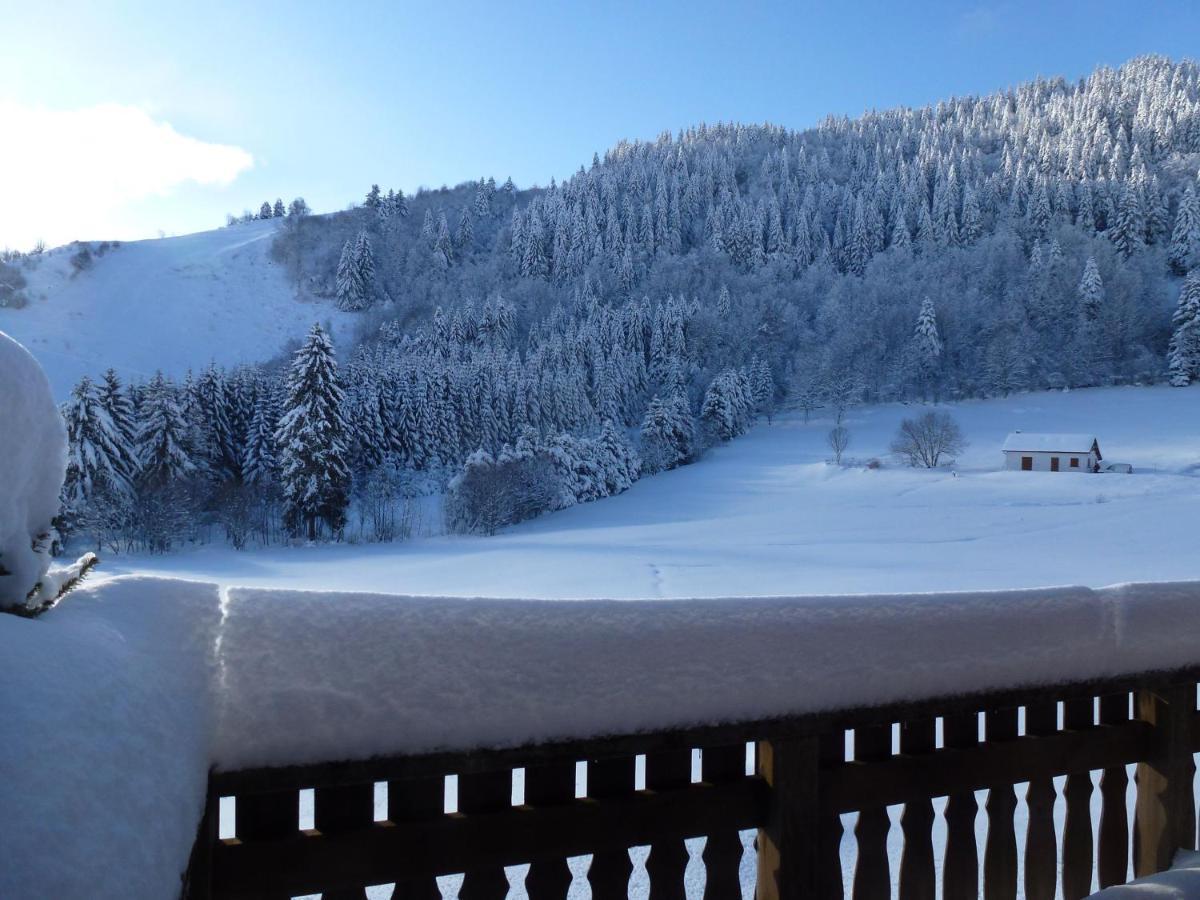 La Bresse Hautes Vosges Chalet "Le Piena" Екстер'єр фото